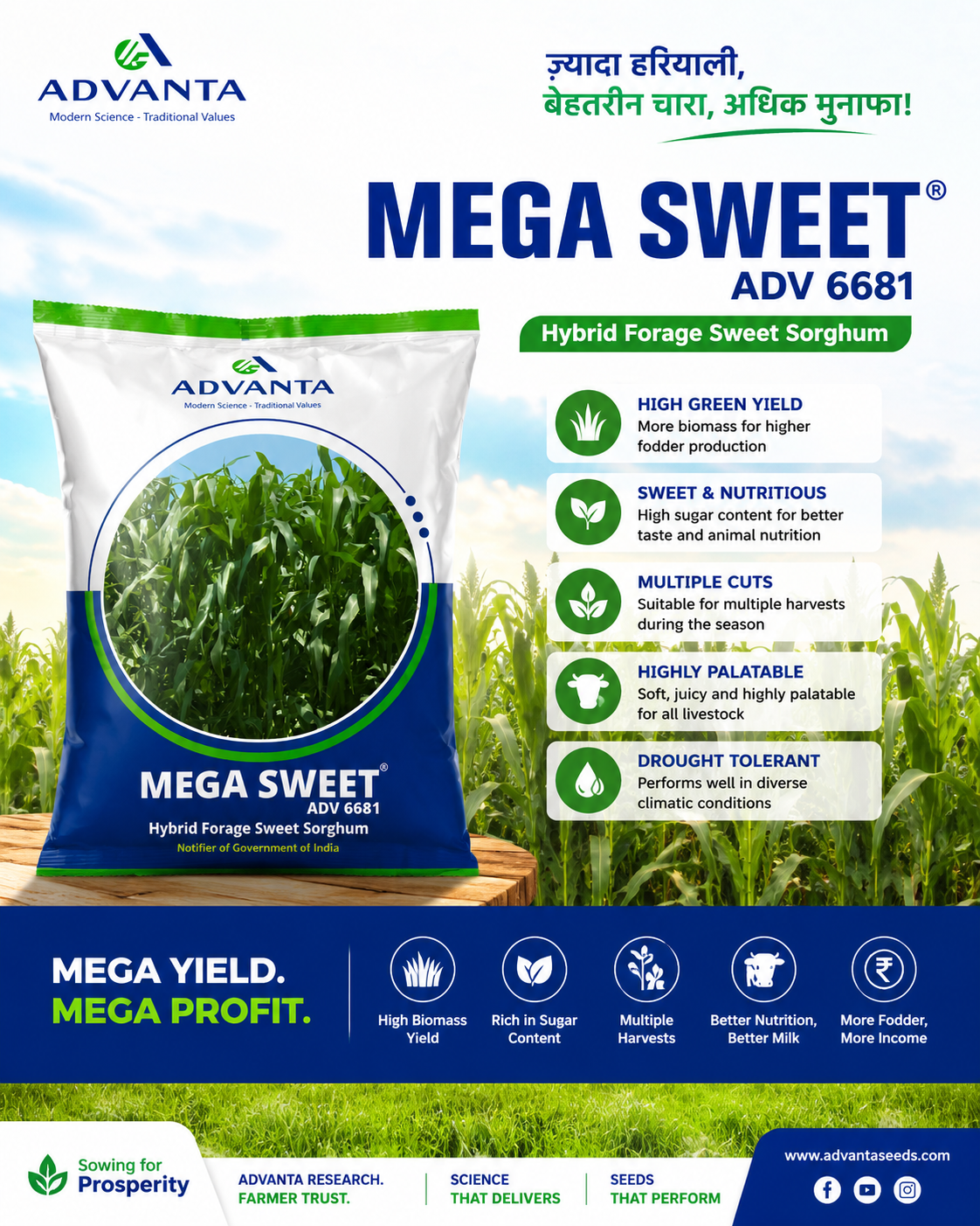 MEGA SWEET