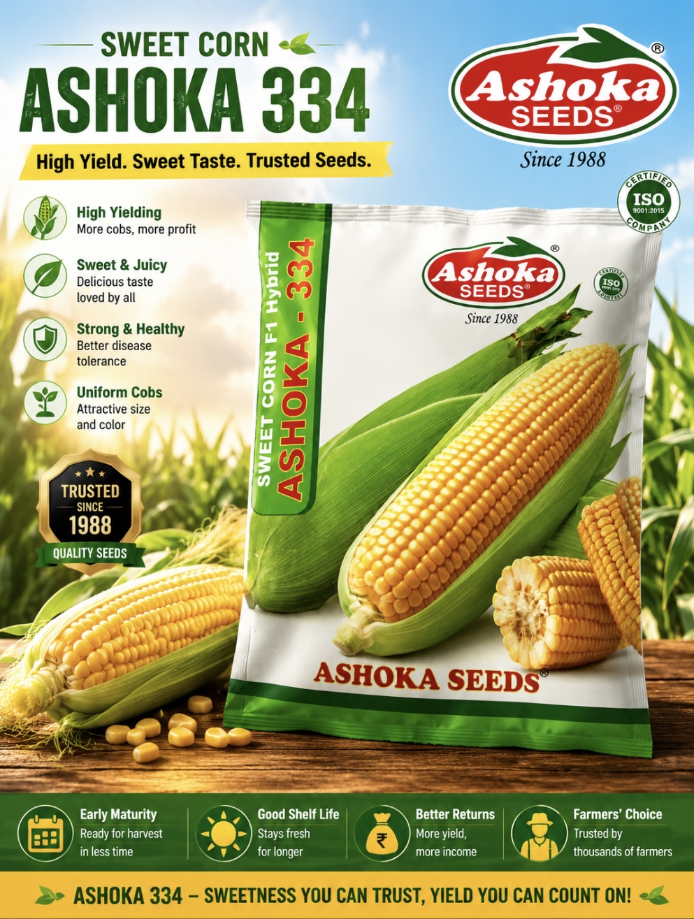 Ashoka sweet corn F1 Hybrid